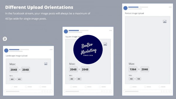 Kích thước ảnh Facebook hiển thị hình vuông - chân chung - cảnh vật