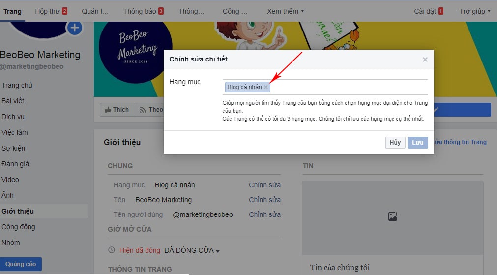 điều chỉnh hạng mục fanpage