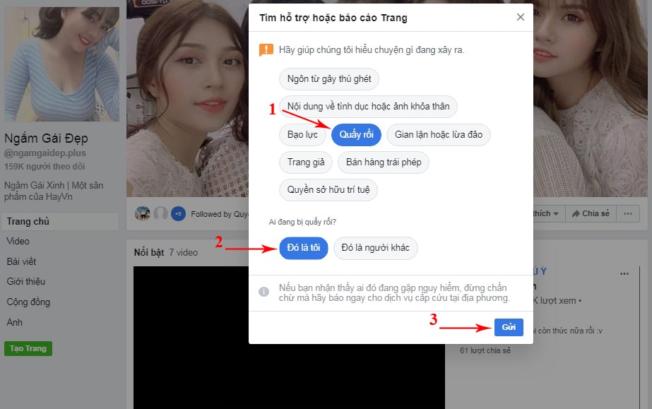 report fanpage như thế nào