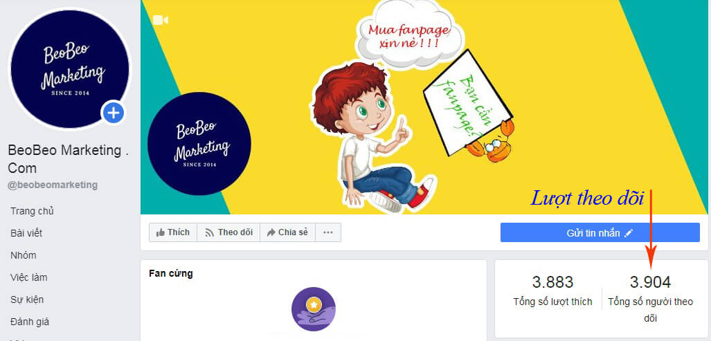 lượt theo dõi lượt thích