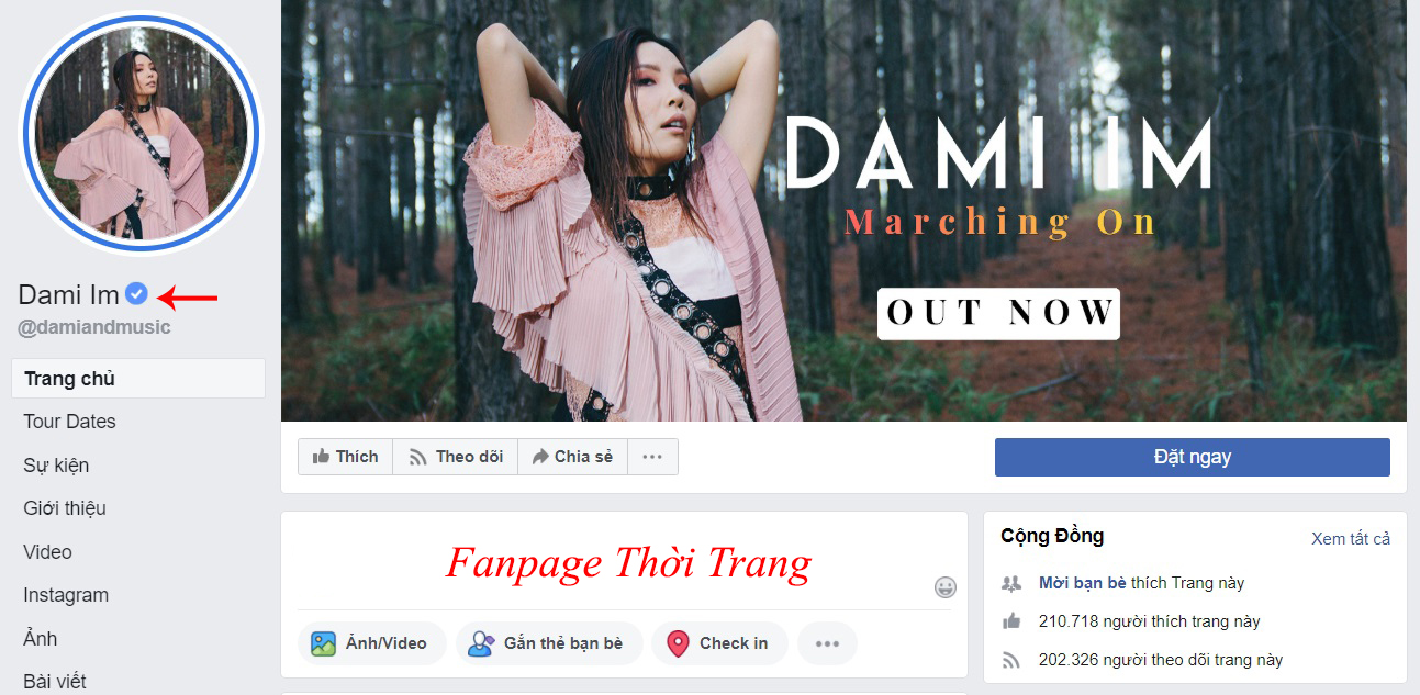 page tích xanh giá bao nhiêu