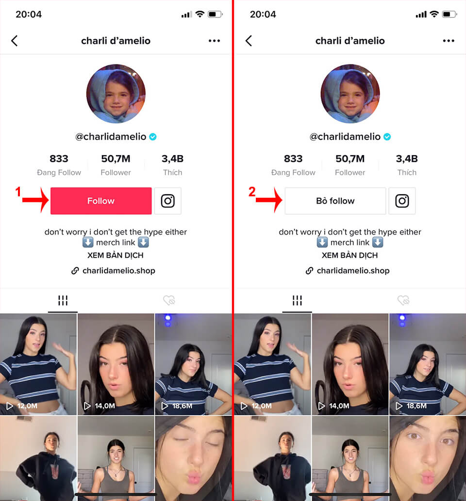 auto follow tik tok