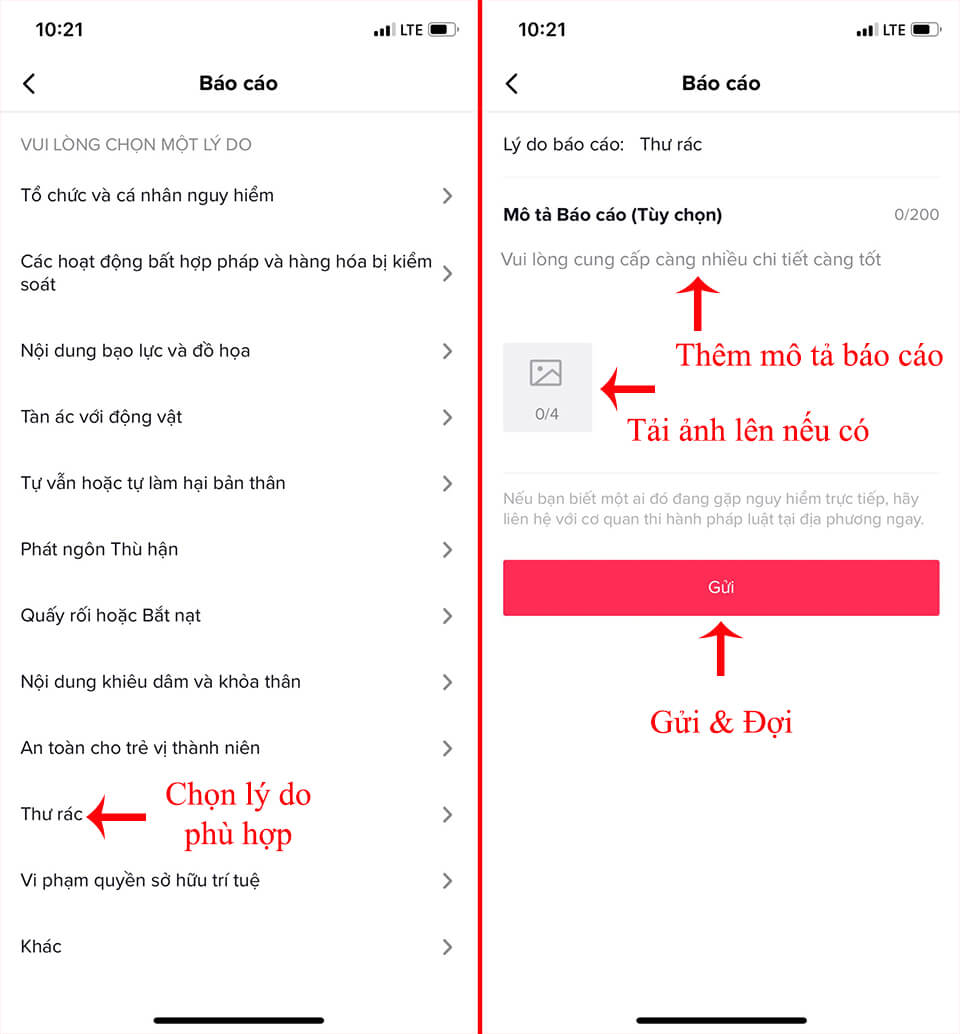 report video tik tok