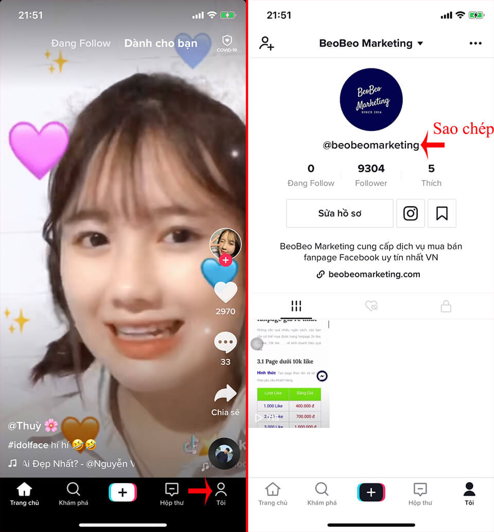 sao chép link tik tok