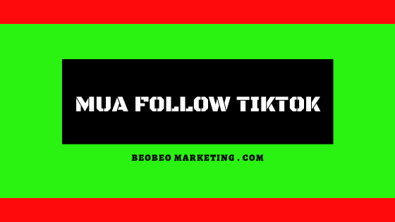 mua follow tik tok
