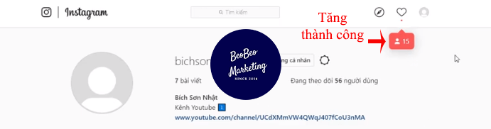 cách tăng tym instagram