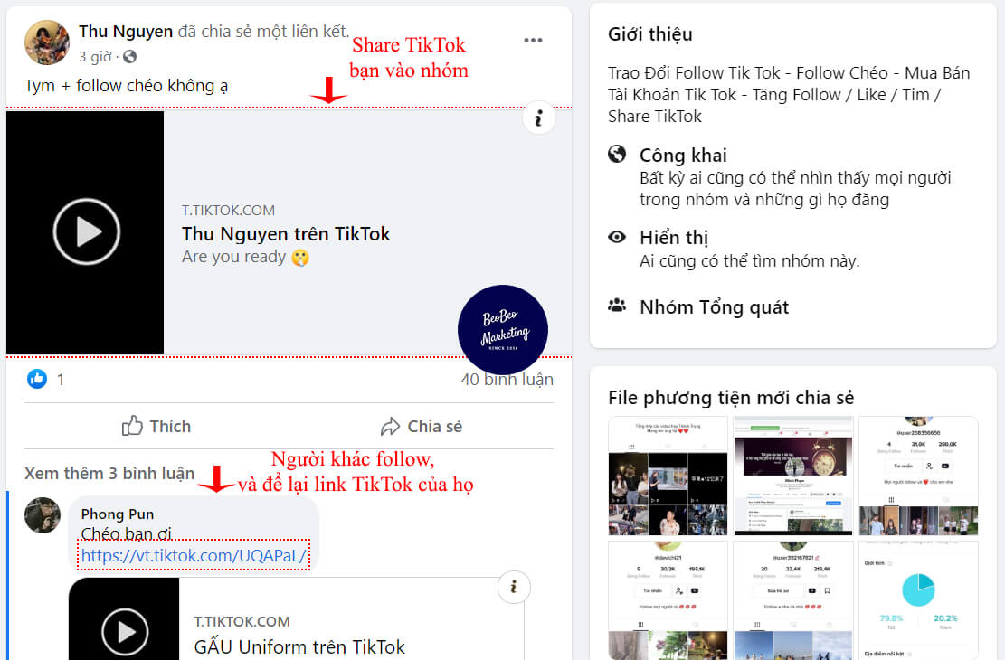 follow chéo tik tok