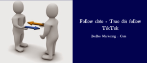trao đổi follow tik tok