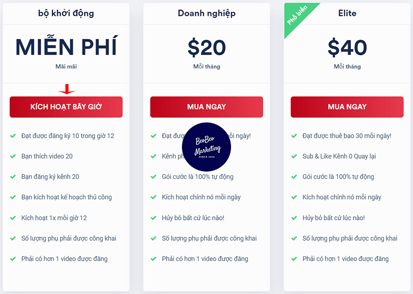 web sub chéo youtube