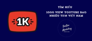 1000 lượt xem trên youtube được bao nhiêu tiền