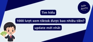 1000 lượt xem tiktok được bao nhiêu tiền
