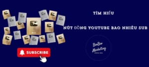 Nút đồng youtube bao nhiêu sub
