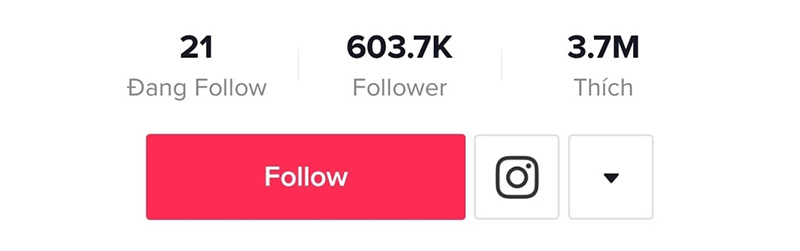 Tool tăng follow tiktok