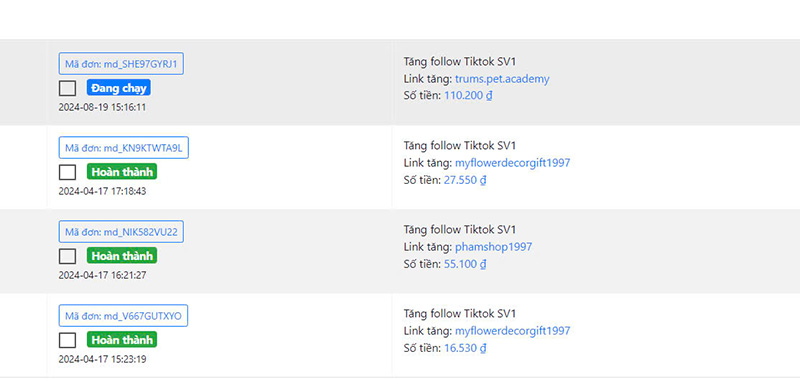 Mua follow tiktok có an toàn không