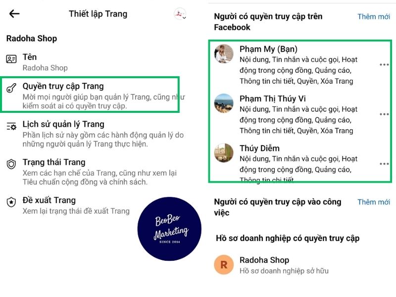 cách xem admin của page
